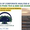 Share Khóa Học Phân Tích BCTC Và Financial Modeling Cùng Intrinsic Garden