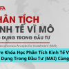 Share Khóa Học Phân Tích Kinh Tế Vĩ Mô Ứng Dụng Trong Đầu Tư (MAI) Cùng AFA