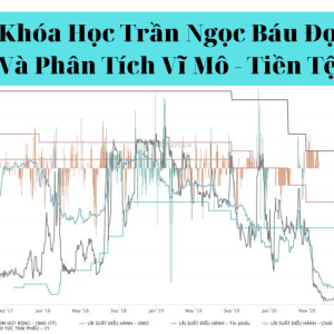 Khóa Học Trần Ngọc Báu Đọc Hiểu Và Phân Tích Vĩ Mô – Tiền Tệ