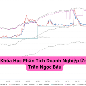 Share Khóa Học Phân Tích Doanh Nghiệp Ứng Dụng Trần Ngọc Báu